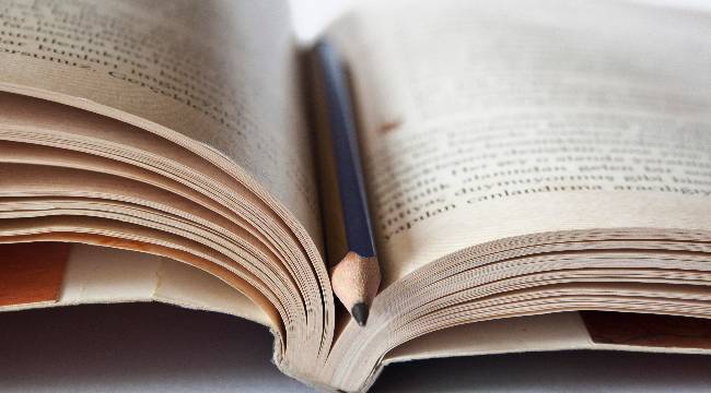 7- Öğrenmeye Açık Kalın, Zihninizi Canlı Tutun