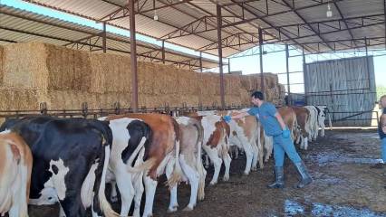 Nazilli'de 13 mahalle karantinaya alındı