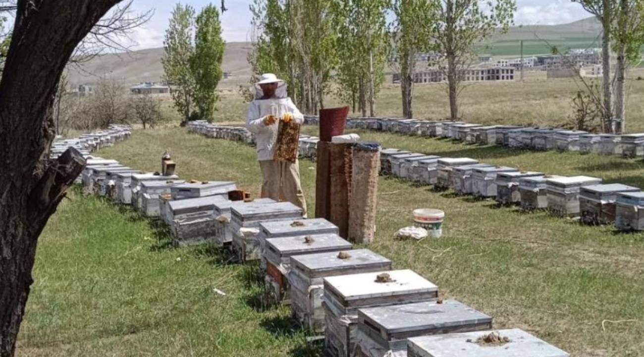 Hakkâri’de kırsala 38 milyon TL hibe desteği