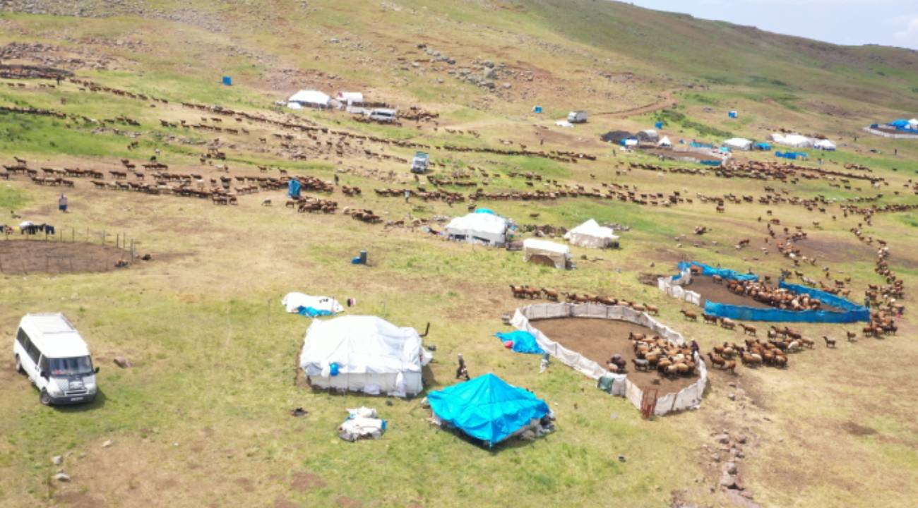 371 yaylaya yerleşen göçer aileler yazı çadırlarda geçiriyor