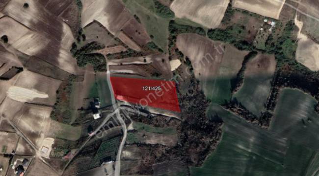 İSTANBUL ÇATALCA ÇANAKÇA'DA 7.472,01 M² 1/100.000 ÇDP' DE TARIMSAL NİTELİĞİ KORUNACAK TARIM ALANI