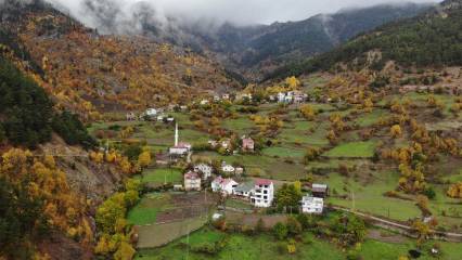 Bütün köy harekete geçti: Rapor sonucu bekleniyor