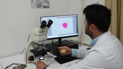 Uzman uyardı 'analizler yapılmalı': 'Deli Bal'da dikkat edilmesi gereken risk!