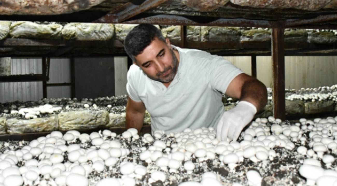 Devlet desteği ile kurdu, 600 ton üretiyor