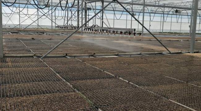 "Parsellerin tamamı yatırımcılara tahsis edildi"