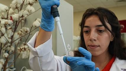 Geleceğin biyomalzemesi tarladan çıktı: Yüksek teknolojili ürünlerin hammaddesi oluyor