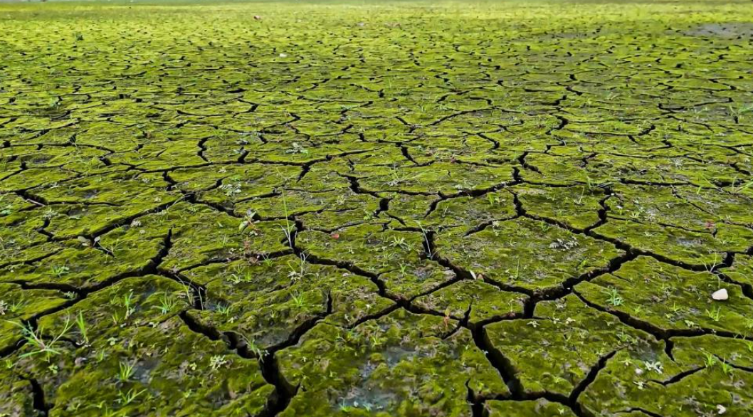 İstanbul barajları alarm veriyor... Kuraklığın boyutu havadan görüntülendi-1