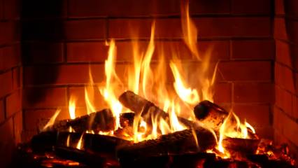 Dijital darphane: Tek bir şömine videosuyla milyon dolarlık kazanç