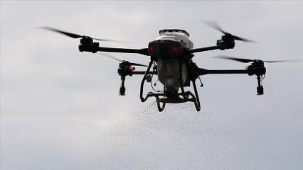 Drone ile ekim yapıyorlar... 50 dekara yakın alan böyle işlendi