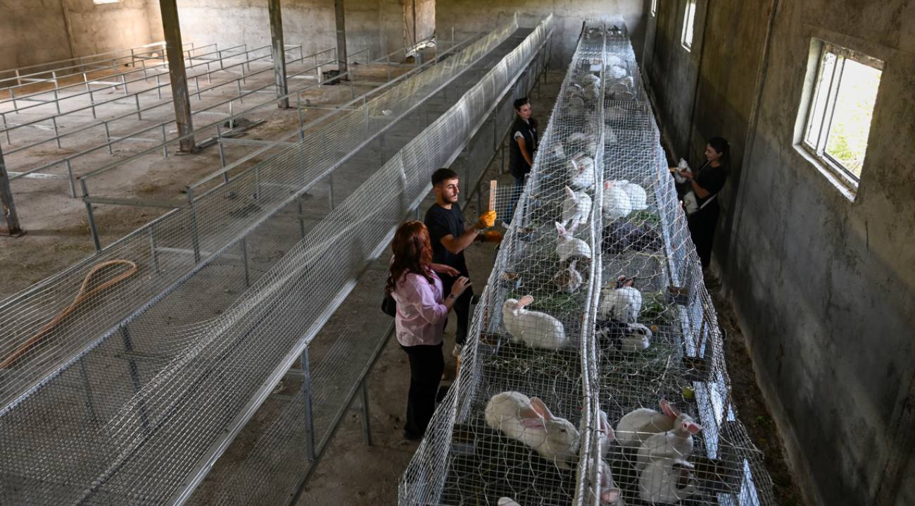 İnternette gördü, Van'da üretime başladı... 6 ayda 500 adete ulaştı