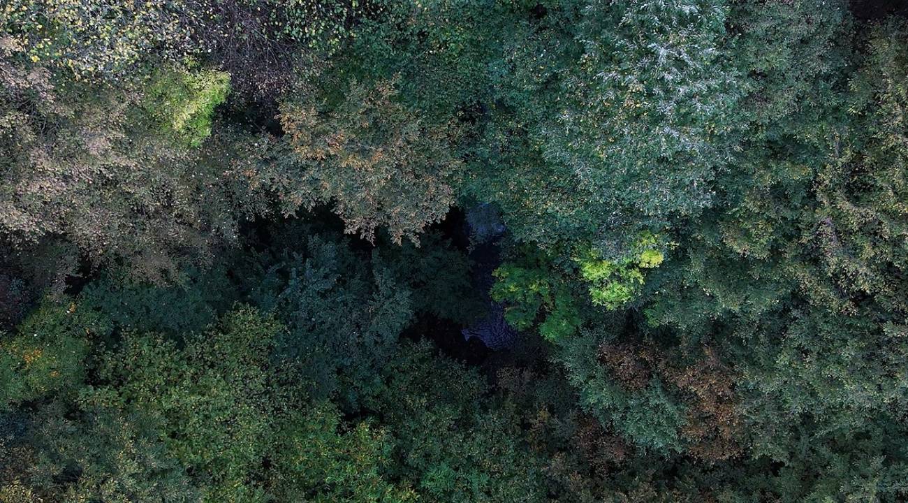 Düzce'nin gizli cenneti: Aydınpınar Şelalesi dört mevsim büyülüyor