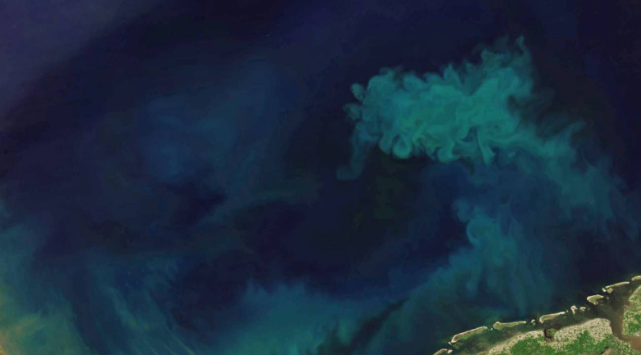 Okyanuslar Kararıyor: Işığın Ulaştığı Alanlar Yüzde 20'den Fazla Azaldı!