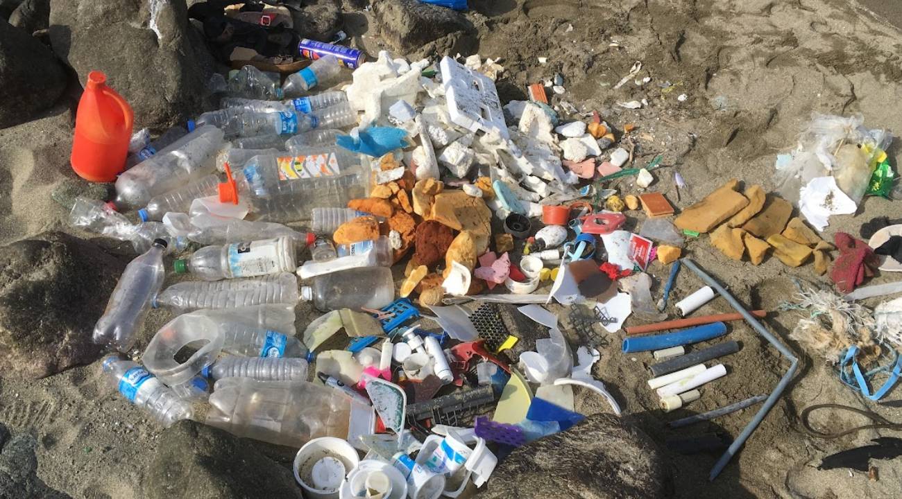 KTÜ araştırması ortaya koydu: Karadeniz kıyıları tehlikede, plajların yüzde 90'ı 'kirli