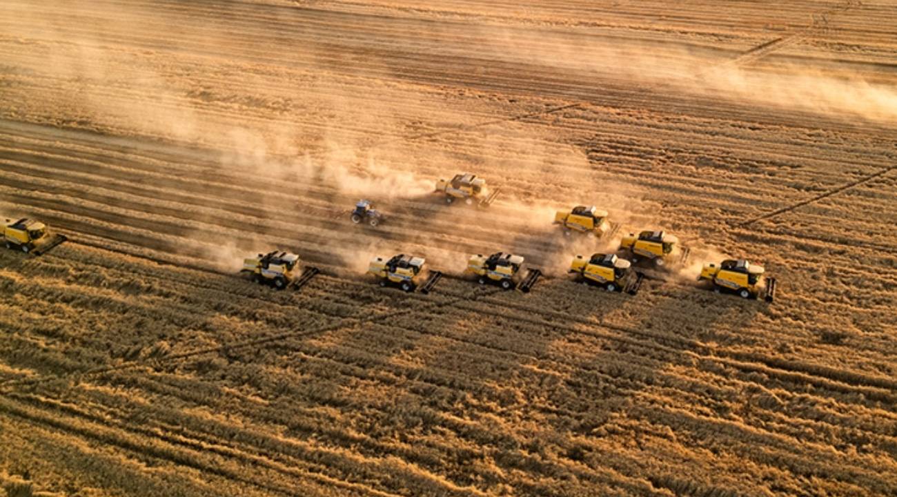 TMO 2025 yılı hububat alım fiyatlarını açıkladı: 30 gün içinde hesaplara yatırılacak