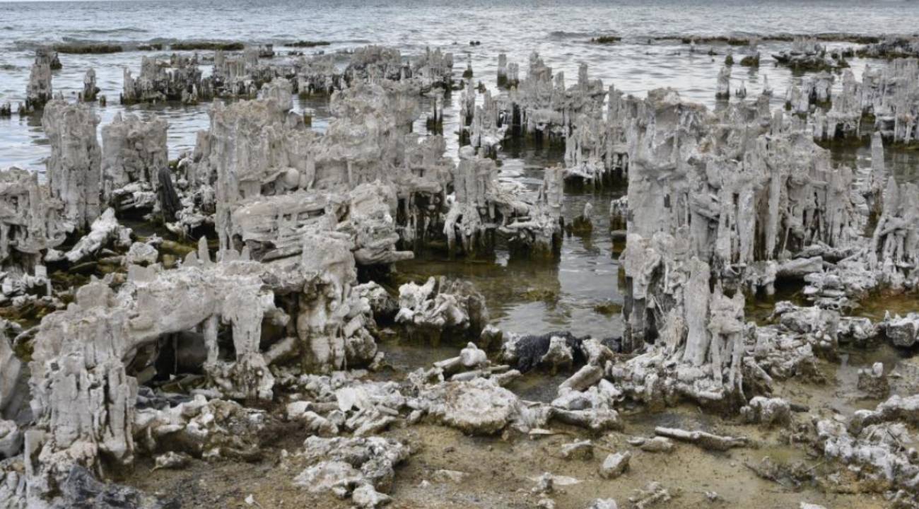 Van Gölü derinliklerinde yeni bir dünya: 80 metrelik mikrobiyalit heyecanı