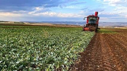 Tarımsal destek bütçesinin ilk çeyrek karnesi belli oldu: 35,6 milyar TL