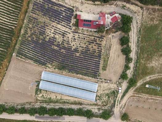 "Kimse inanmıyordu, şimdi hepimiz üretiyoruz": Fekeli kadınların sera devrimi