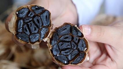 "Beyaz altın" siyah inciye dönüştü... Girişimcinin Güney Kore ilhamı