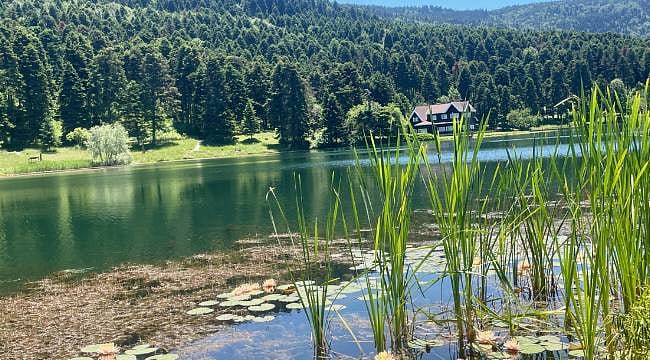 Fotoğraf çekerken dikkat! Nilüfer koparana 700 bin liraya yakın ceza