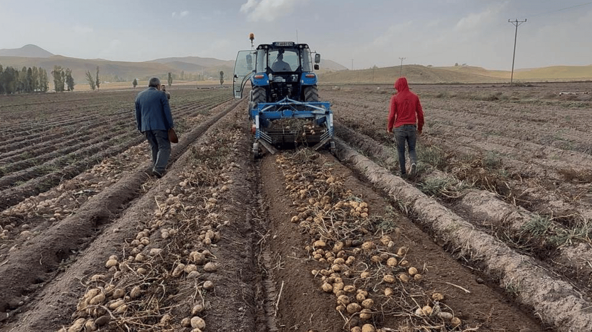 Topraktan fabrikaya: Cips ve dondurulmuş gıda oluyor-2