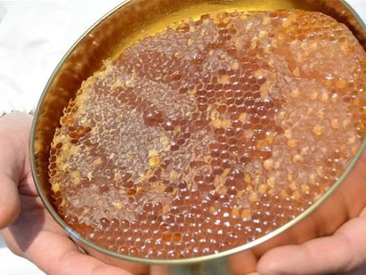 Balda hileye petek seti: Uygunsuz ürünler artık laboratuvardan kaçamayacak