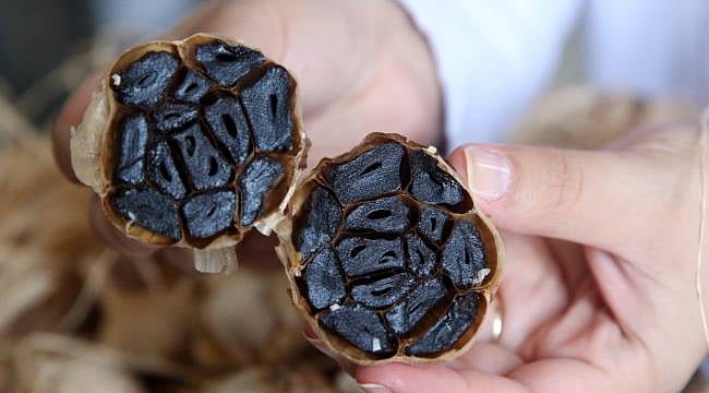 "Beyaz altın" siyah inciye dönüştü... Girişimcinin Güney Kore ilhamı