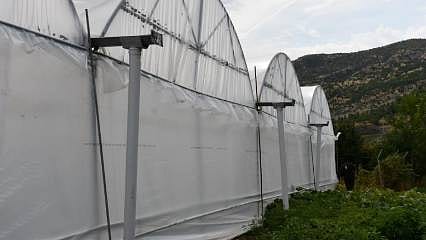 Mikroklima ile projeyi hayata geçirdiler, yüzde 50 hibe ile sera kurdular