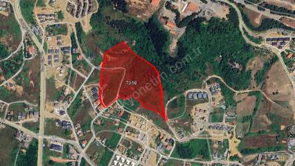 29 ilde 244 muhtelif arsa müzayede ile satışa çıkıyor