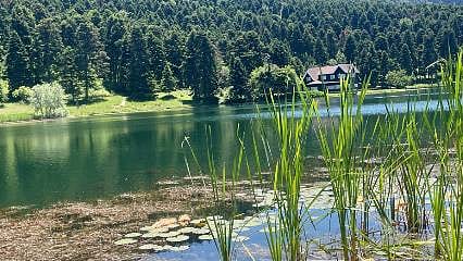 Fotoğraf çekerken dikkat! Nilüfer koparana 700 bin liraya yakın ceza