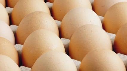 Kişi başına 15 yumurta eksildi: Üretim 20 milyarın altına düştü