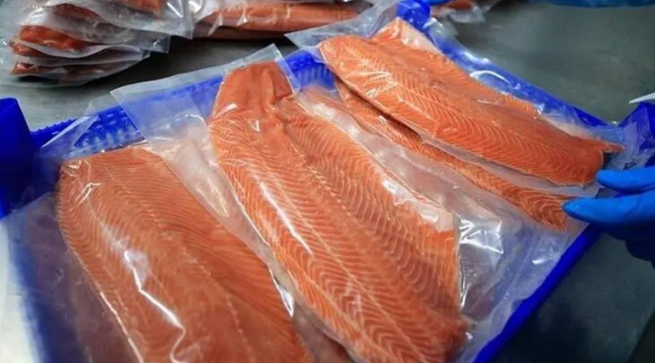 Karadeniz'den 30 ülkeye somon ihracatı 200 milyon doları aştı
