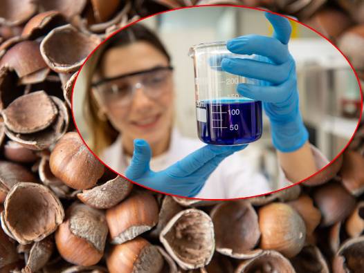 Fındık Kabuğu "Elmas" Oldu: 10 Liralık Atıktan 10 Dolarlık Stratejik Ürüne