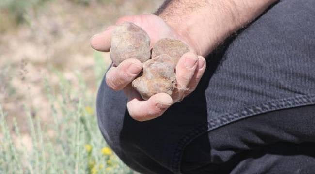 Kilosu 1700 TL’ye kadar alıcı buluyor: Önce araba, sonra arsa aldı! Şimdi de günde 40 kilo buluyor