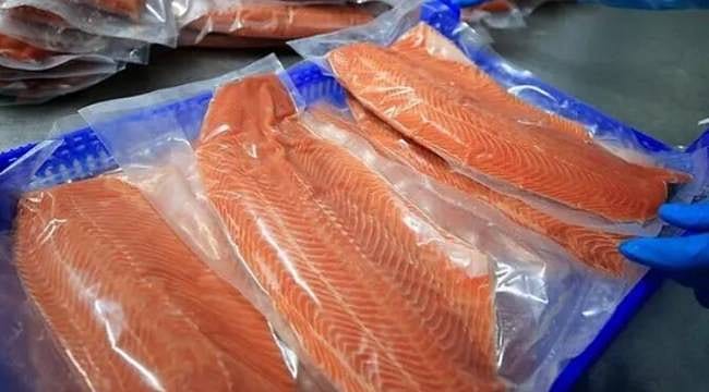 Karadeniz'den 30 ülkeye sevkiyat: Somon ihracatı 200 milyon dolar sınırını aştı