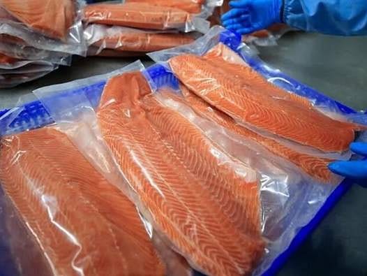 Karadeniz'den 30 ülkeye sevkiyat: Somon ihracatı 200 milyon dolar sınırını aştı