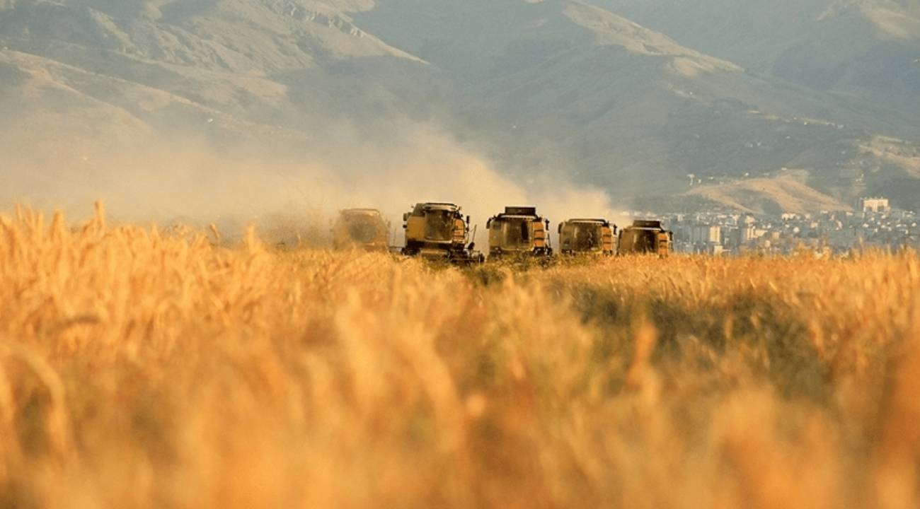 Tarımda üretici enflasyonu yıllık yüzde 44 arttı