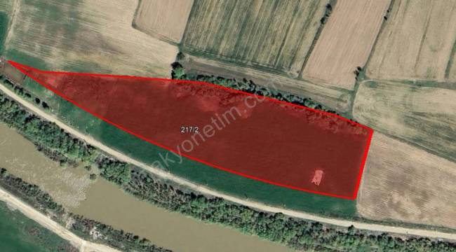 MUŞ MERKEZ BAĞLAR (ÇİRİŞ)'DA 16.598,47 M² PLANSIZ ALAN (1/100.000 ÇDP TARIM ALANI)