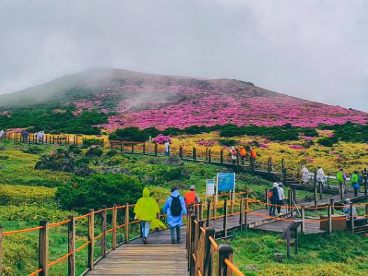 Polisten ilginç rehber: Turistler nasıl davranmalı?