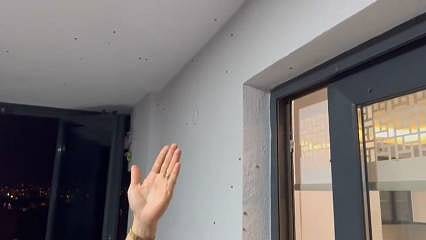 Rize'nin başı 'vampir kelebekler' ile dertte