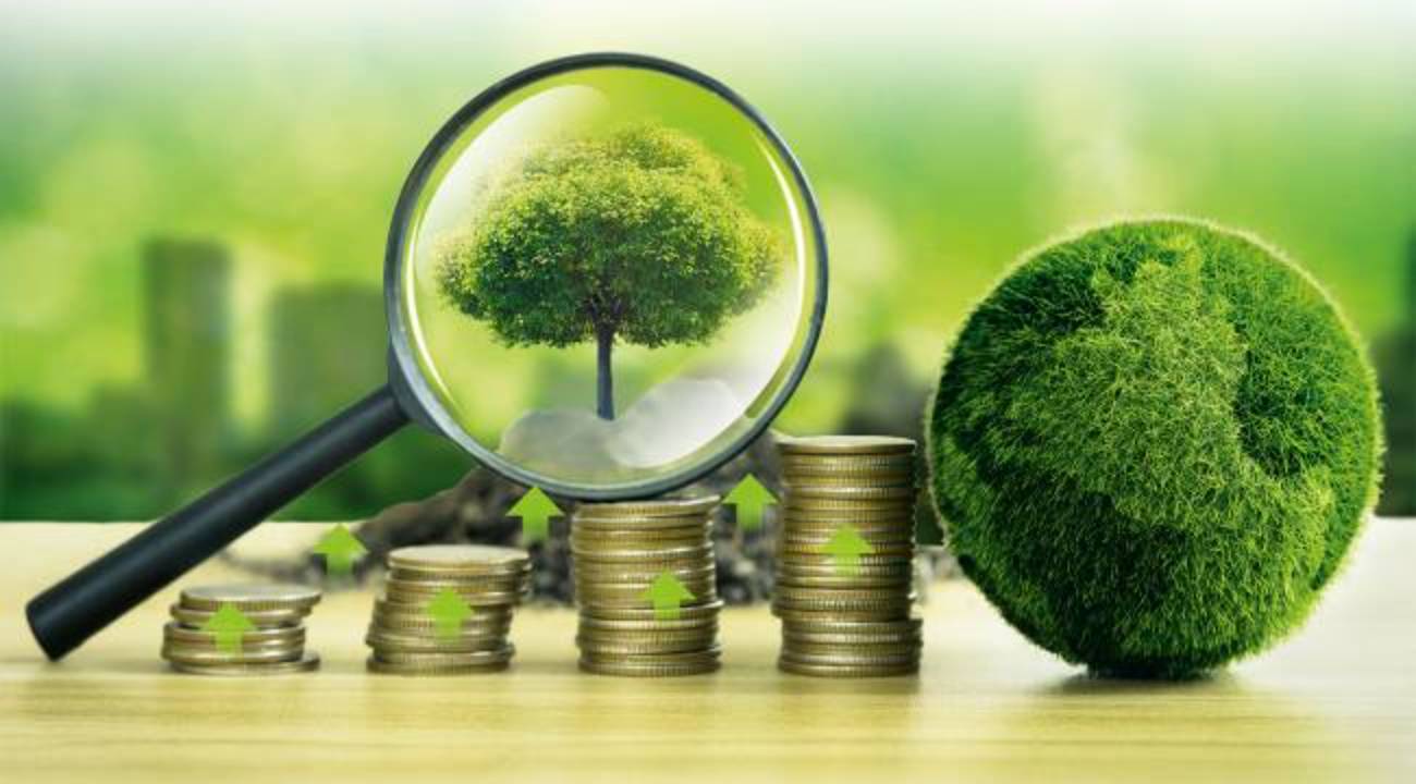 Yeşil dönüşüm: 62 projeye 444 milyon lira destek