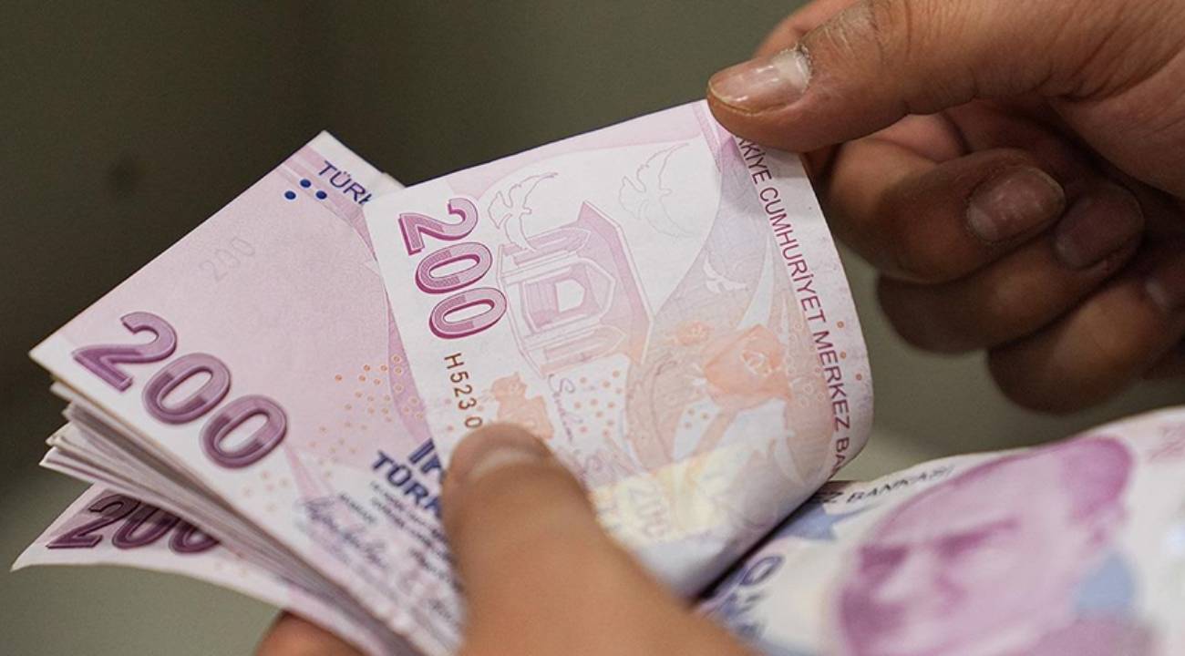 Temmuz ayı Sosyal ve Ekonomik Destek ödemeleri hesaplara yatırıldı
