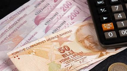 TL ile yapılan dış ticarette büyük artış