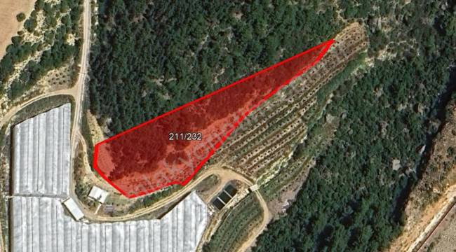 ANTALYA MANAVGAT KARACALAR'DA 5.451,99 M² PLANSIZ ALAN (1/25.000 NİP TARIM ALANI)