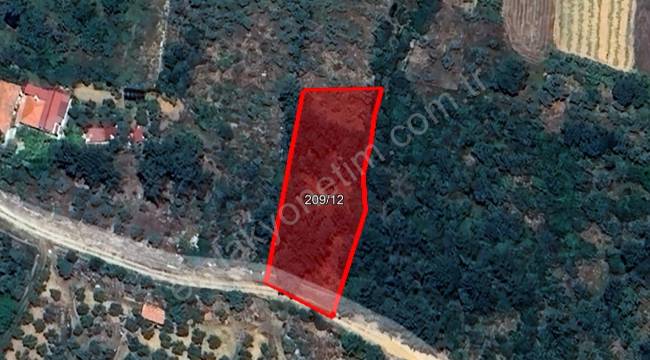 MUĞLA MENTEŞE YENİCE'DE 1.819,50 M² PLANSIZ ALAN (1/100.000 ÇDP TARIM ALANI+KIRSAL YERLEŞİK ALAN)
