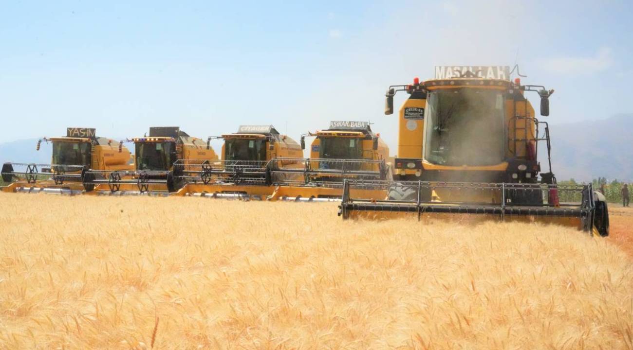 Milyarlık hasat başladı: Ton başına 16 bin TL destek