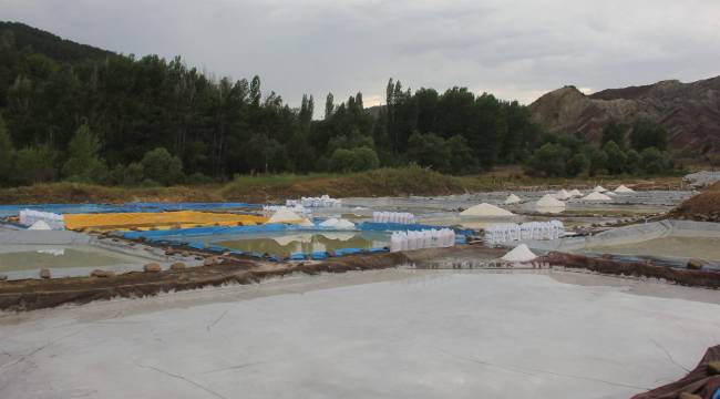 YILLIK ÜRETİM YAKLAŞIK 350 TON