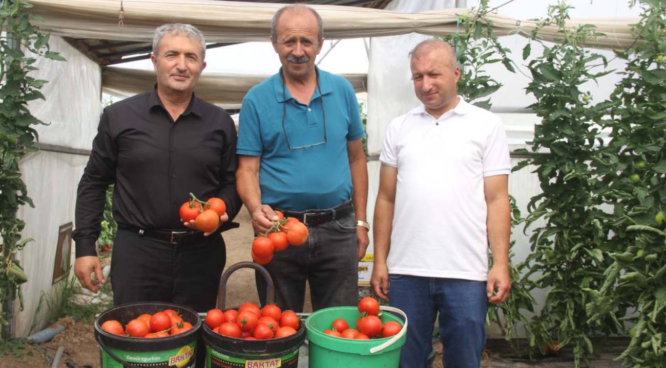 Tatil için gitti, iş fikriyle döndü: Yılda 100 ton üretiyor