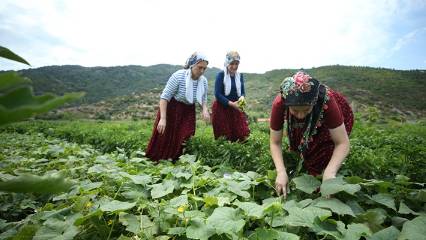 Kadınlar kurdu, ziyaretçi yağıyor: "Çok şaşkınız"