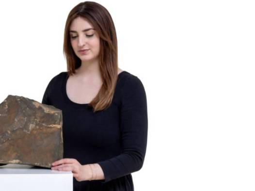 Mars'tan gelmişti, satışı gerçekleşti