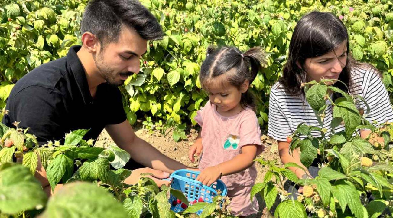 Meyve bahçesi kurdu, mahalleliyi de iş sahibi yaptı